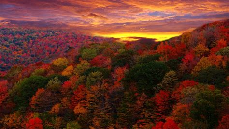 Autumn Forest At Sunset Wallpaper For Desktop 1920x1080 Full Hd