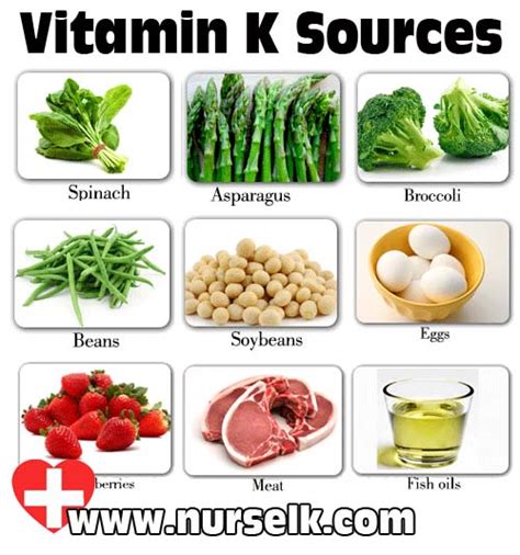 Vegetables High In Vitamin K List Food Keg