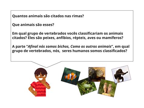 Plano De Aula 3º Ano Ciências As Características Dos Animais