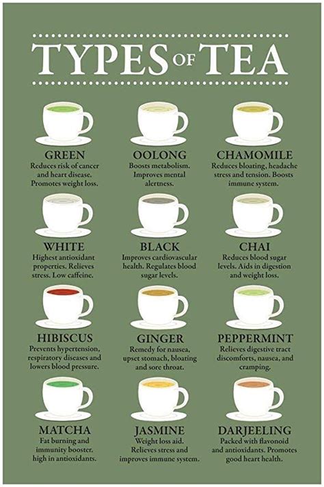 Types Of Tea And Their Benefits Chart Varieties Infographic Green Art