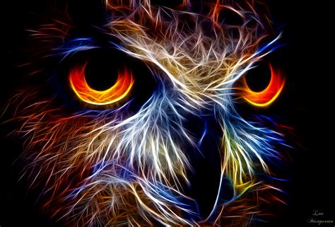 Light Energy Owl Bird Pet Birds Energy