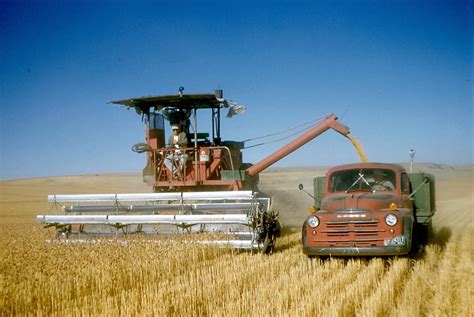 Wilbur Wa Farm 1960 7 Harvesting Wheat Reaping The Reward Flickr