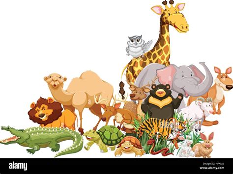 Different Types Of Wild Animals Together Illustration Stock Vector