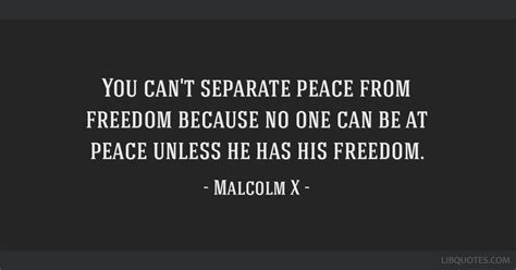 You Cant Separate Peace From Freedom Because No One Can Be