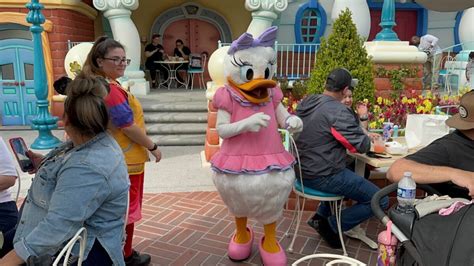 Photos Video Daisy Duck Greets Guests Dining At Café Daisy In Mickey
