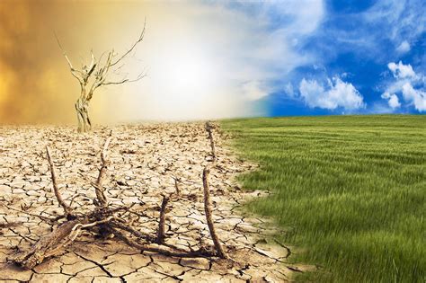 Global Assessment Large Economic Impacts Of Climate Change Can Be Avoided