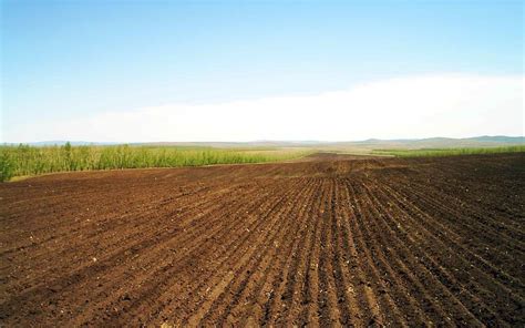 New Law Allows Foreign Agricultural Businesses to Lease Kazakh Land for ...