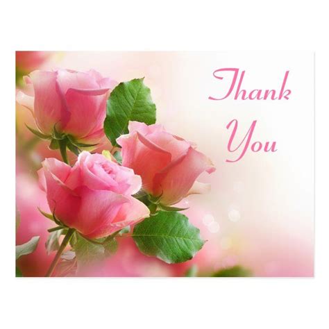 Thank You Pink Rose Flower Blank Floral Post Card Zazzle Thanks Card Rose Flower Pink Rose