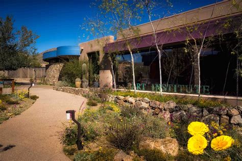 Dreaming Of Arizona In This Outdoor Desert Museum Museeum
