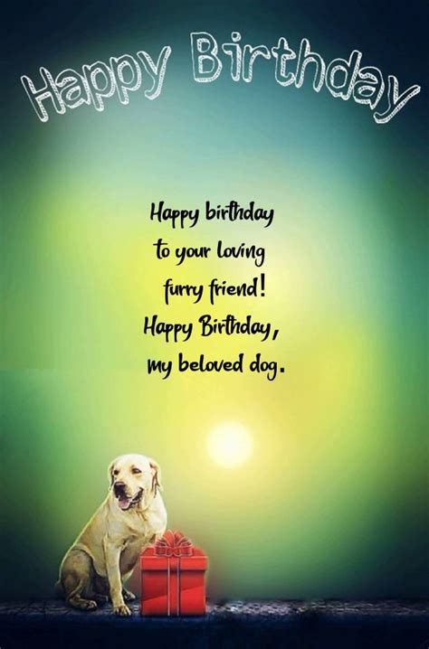 100 Happy Birthday Wishes For Dog To Woof With Beautiful Images