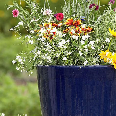 Create A Picture Perfect Container Garden Every Time With These 6 Steps