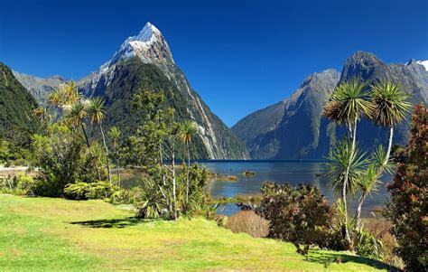 Experience An Adventurers Oasis On A New Zealand Honeymoon Honeyfund