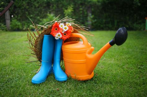 Maybe you would like to learn more about one of these? Tips for Aerating and Dethatching Your Lawn | Step-by-Step Guide