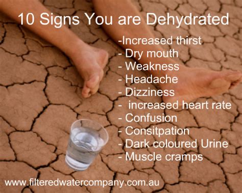 10 Signs You Are Dehydrated Filtered Water Company