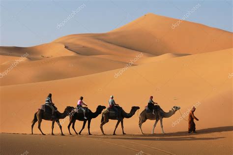 Caravana De Camelo No Deserto Do Saara — Fotografias De Stock © Wrangel