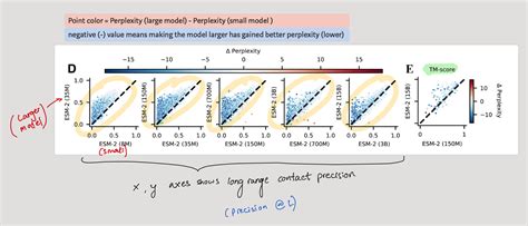 Esm 2 Evolutionary Scale Prediction Of Atomic Level Protein Structure