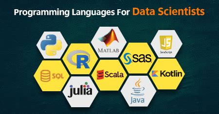 Top Programming Languages For Data Scientists In 2023 Birchwood