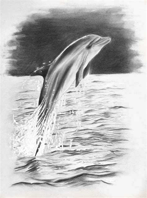 Dolphin Pencildrawing By Josephine Doege Dolphin Drawing Realistic