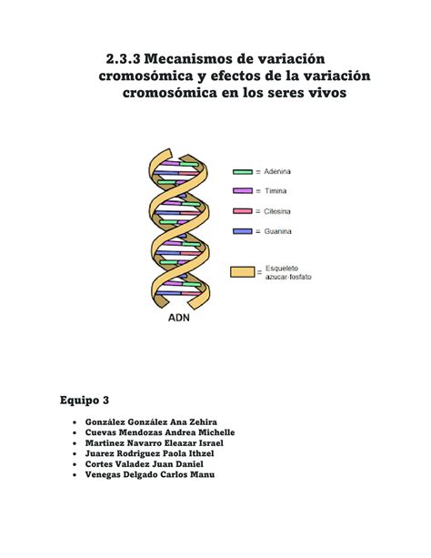 Solution Mecanismos De Variación Cromosómica Y Detectar Los Efectos De