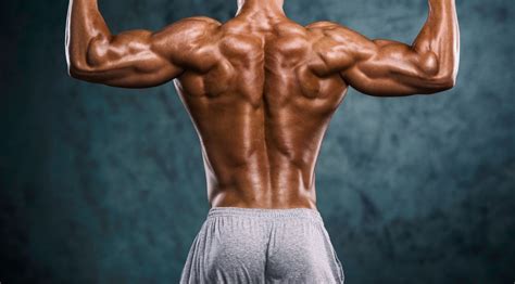 Ectomorph workout female back muscles women back muscles female abs skinny guy some of my fave muscle girls because buff women are soooooo scary. The 10 Sexiest Body Parts Ranked by Women | Muscle & Fitness