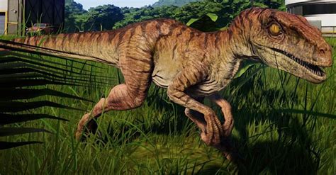 My Favorite Velociraptor Skin Please Jurassicworldevolution Put This And Jp3 Skin Jurassic