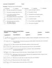 Answer key for mitosis labeling worksheet showing the phases of mitosis: cell cycle coloring worksheet - Name DaTe Period The Cell ...