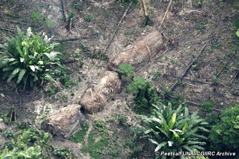 Brazil Confirms Existence Of Uncontacted Tribe Survival International