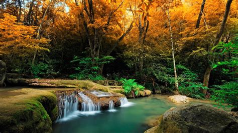 Waterfall In Tropical Autumn Forest