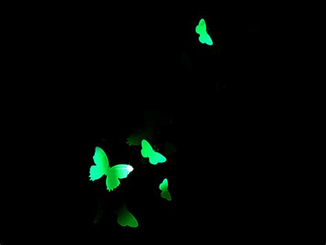 Glowing Butterfly Decoration Png Images Psd Free Download Pikbest