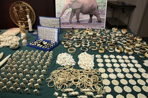 Obama Administration Plans To Aggressively Target Wildlife Trafficking The New York Times