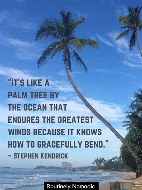 Palm Tree Quotes 100 Amazing Palm Tree Sayings Routinely Nomadic