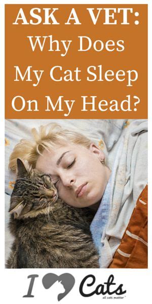 Ask A Vet Why Does My Cat Sleep On My Head Cat Sleeping Cats Cat