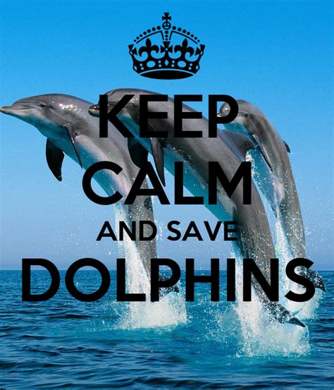 Keep Calm And Save Dolphins Poster Luckyrockz97 Keep Calm O Matic