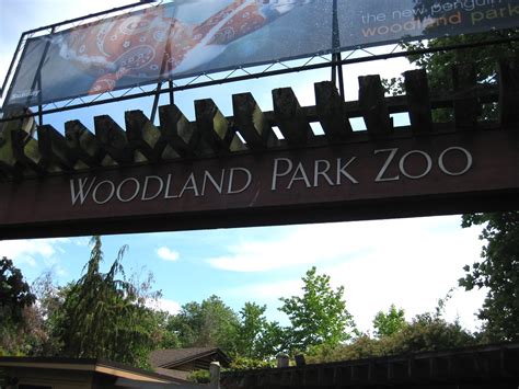 Woodland Park Zoo Wildcat Dunny Flickr