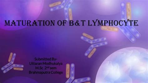 Immunology Chapter 9 Activation Of T Lymphocytes Ppt
