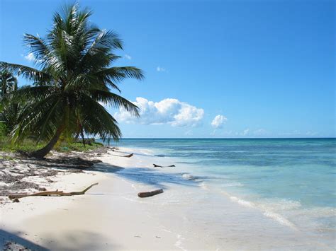 White Sandy Beaches Of The Caribbean — Yacht Charter And Superyacht News
