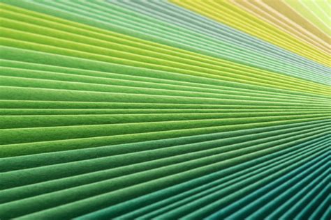Maybe you would like to learn more about one of these? Chartreuse Color Definition and Examples