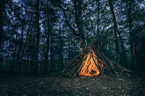 Hd Wallpaper Brown Wooden Campfire In The Middle Of Woods Dark