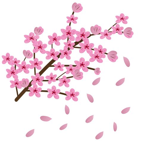 Cherry Blossom Card Vector Hd Png Images Cherry Blossoms Sakura