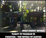 Avatar Flight Of Passage Single Rider Photos