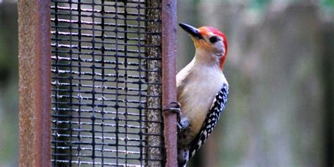 Indiana Dunes State Park Nature Center ~ Things You Should Know