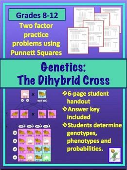 Dihybrid crosses worksheet answer key. Amoeba Sisters Dihybrid Crosses Worksheet Answer Key | schematic and wiring diagram