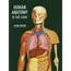 Human Anatomy In Full Color  Scribd