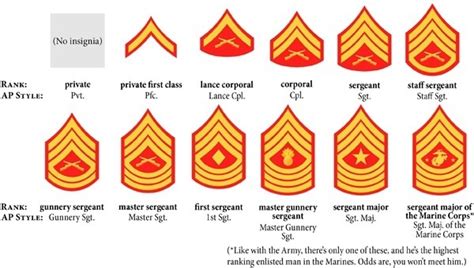 Marine Corps Enlisted Ranks Diagram Quizlet