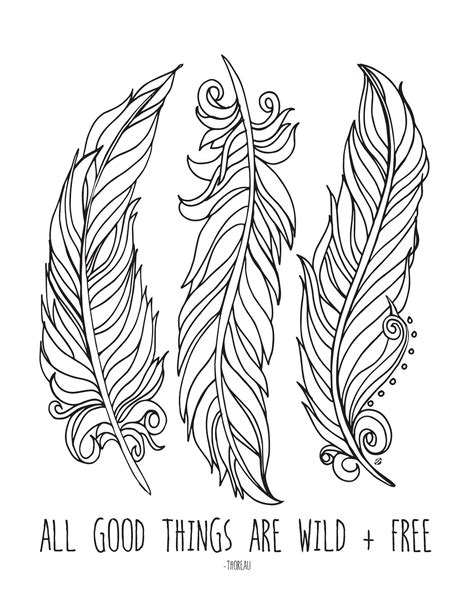 Feathers Coloring Pages Printable