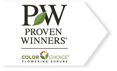Proven Winners - Flowering Shrubs - Proven Winners - Flowering Shrubs