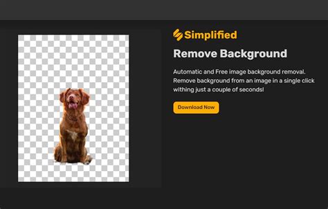10 Best Background Remover Tools In 2023 Free Tool Simplified
