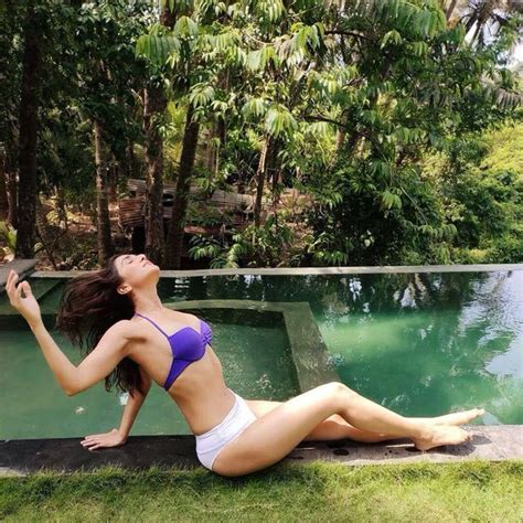 Vaani Kapoor Sizzles In Purple Top And White Bikini Bottom Bollywood News Bollywood Hungama