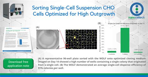 Sorting Single Cell Suspension Cho Cells Nanocellect
