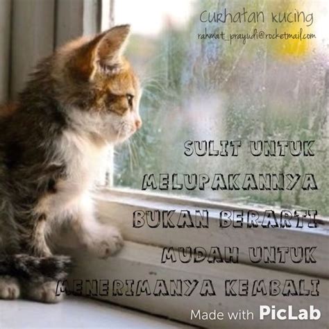 Quotes tentang cinta dalam bahasa inggris beserta artinya. #curhatankucing #cat #quotes #galau #curhat #katakata # ...